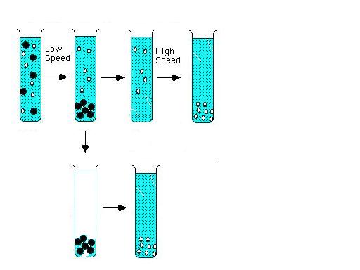 centrifugation.jpg